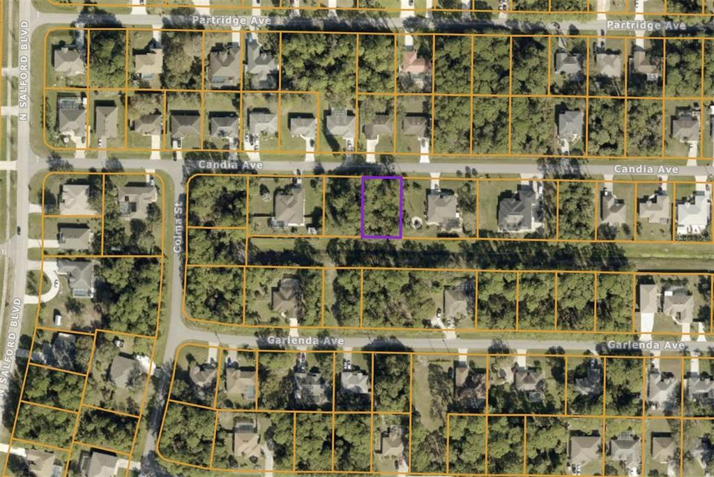 00 CANDIA AVENUE