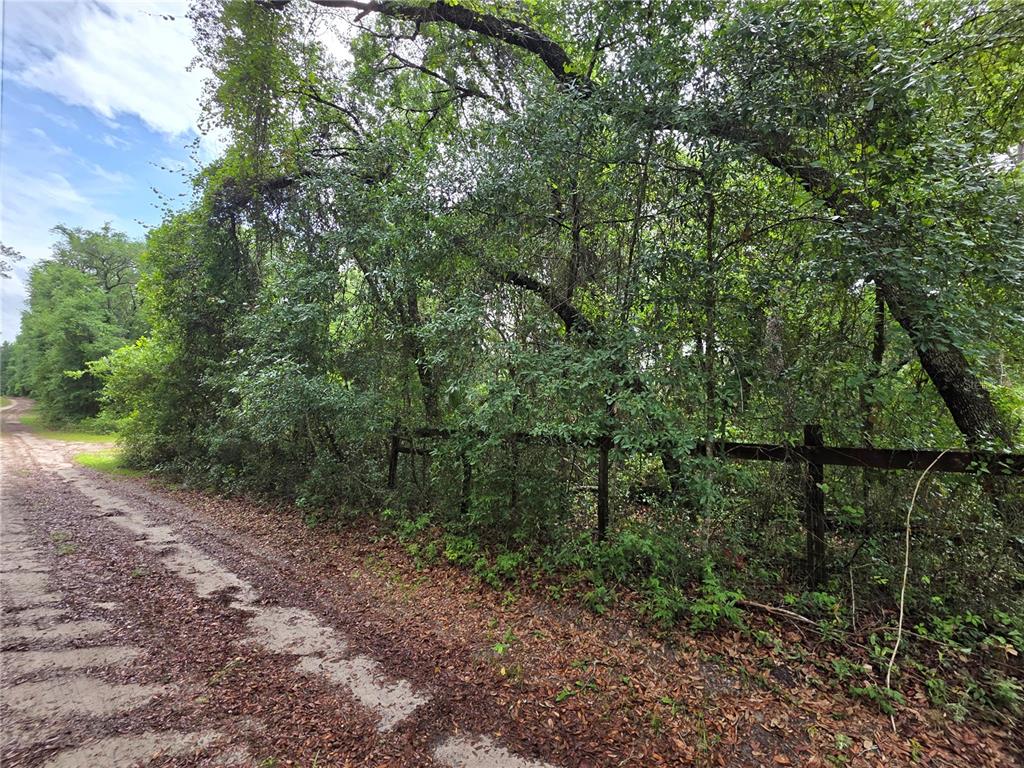 A dirt road runs alongside a wooded lot enclosed by a wooden post-and-rail fence — 000 NE 138TH TERRACE, FORT MC COY, FL