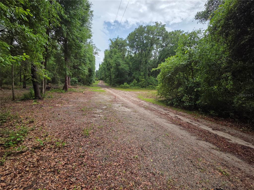 A dirt road runs through a wooded area with a small survey marker visible — 000 NE 138TH TERRACE, FORT MC COY, FL