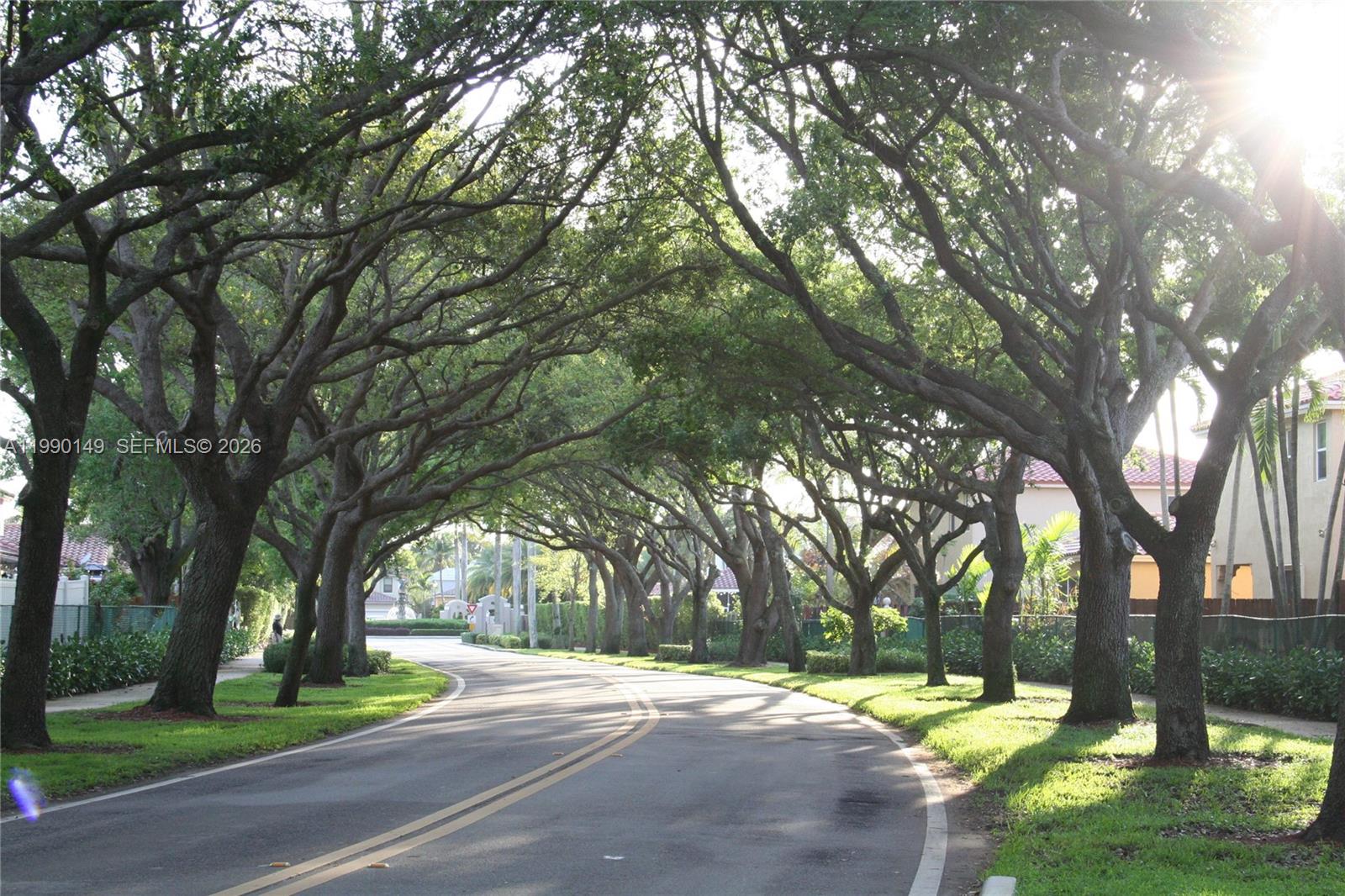 A paved road curves through a neighborhood lined with large, mature oak trees — 4964 SW 128th Ave, Miramar FL 33027, MIRAMAR, FL