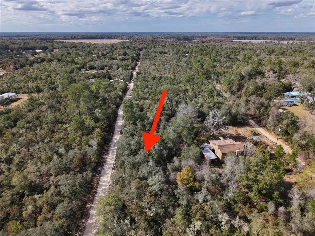 An aerial view shows a wooded, undeveloped lot next to a dirt road and house — NE 233RD LANE, FORT MC COY, FL