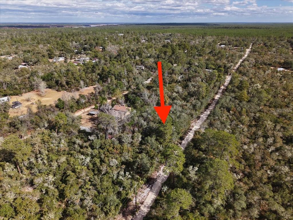 An aerial view shows a wooded, undeveloped lot adjacent to a dirt road — NE 233RD LANE, FORT MC COY, FL