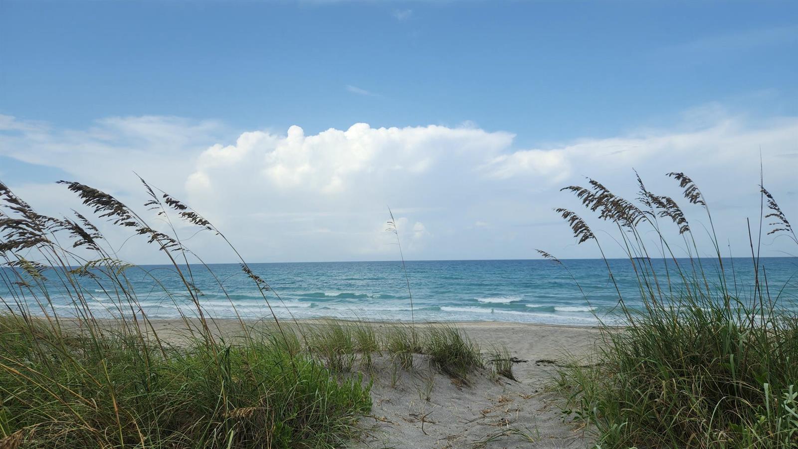 A sandy path leads through beach grass toward the ocean under a blue sky — 115 Olympus Way, Jupiter FL 33477, JUPITER, FL