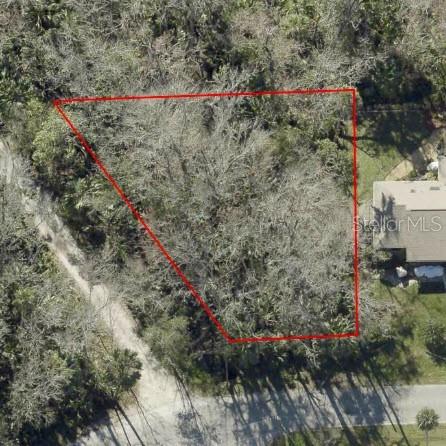 An aerial view shows a wooded, triangular-shaped vacant lot outlined in red — 0 PALM DRIVE, NEW SMYRNA BEACH, FL