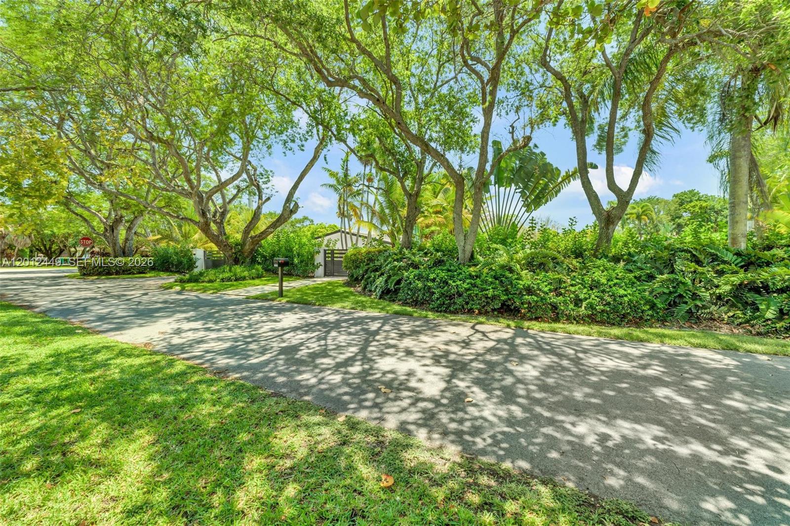 A paved driveway leads toward a gated entrance surrounded by lush trees and dense landscaping — 6200 SW 118th St, Pinecrest FL 33156, PINECREST, FL