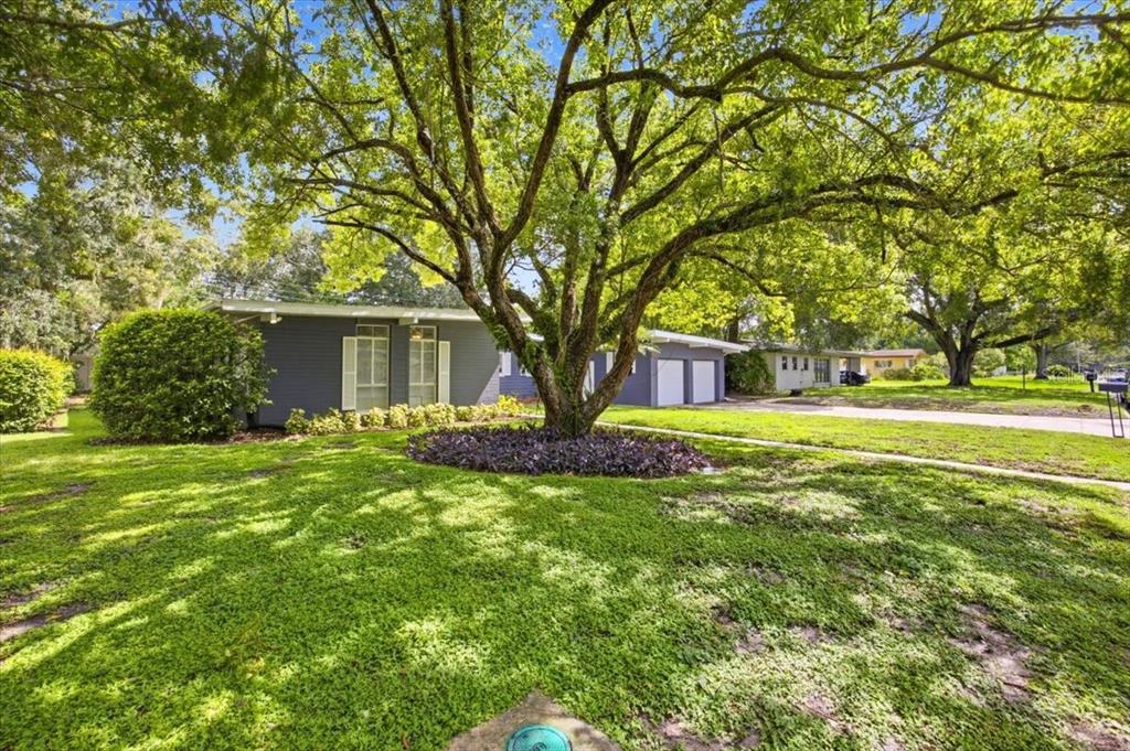A gray single-story house with a large tree in the front yard and green lawn — 1626 SIMS PLACE, LAKELAND, FL