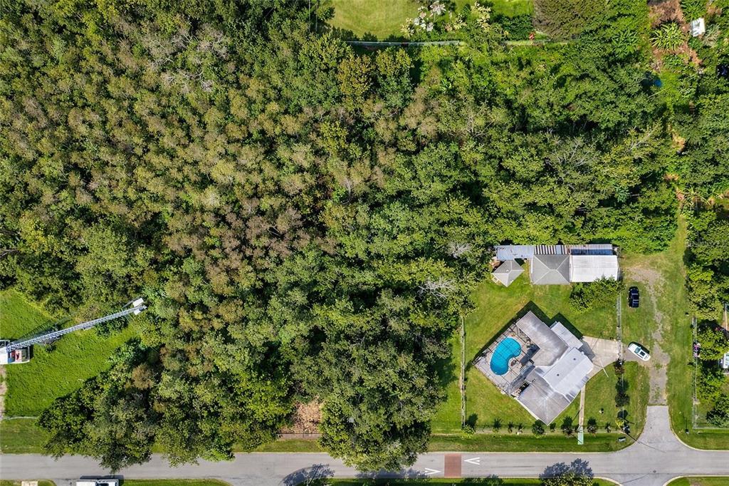 An aerial view shows a house with a pool and a large wooded lot — 110 PRINCE STREET, ORLANDO, FL
