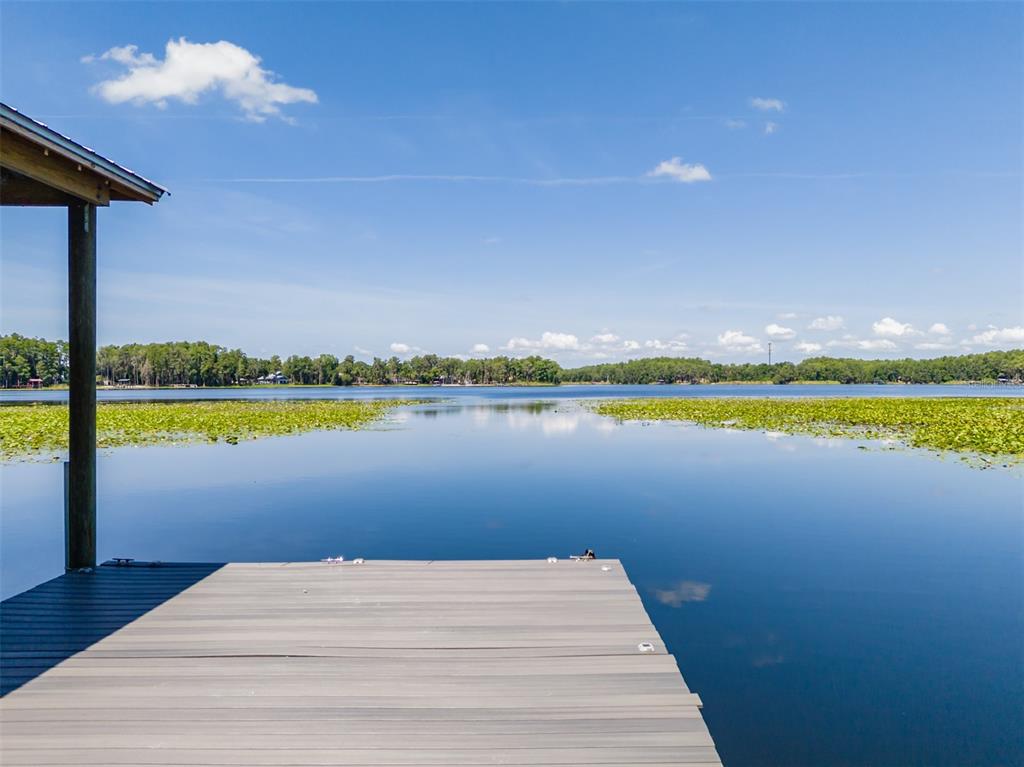 A wooden dock extends over a calm lake with lily pads under a blue sky — 5035 CONNER DRIVE, LAND O LAKES, FL