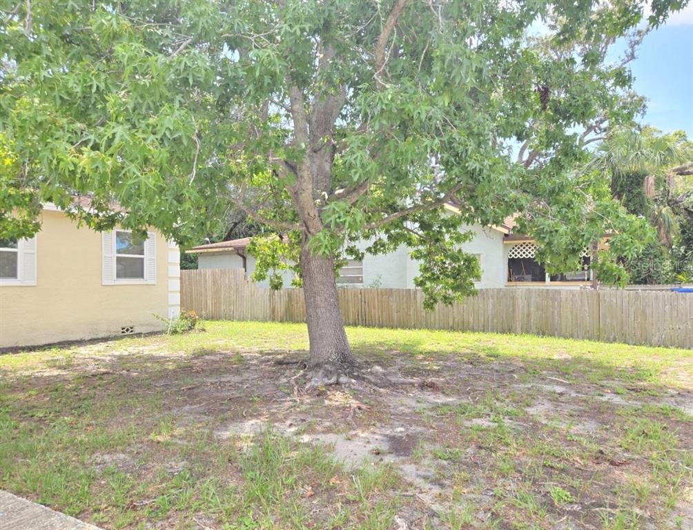 A large tree stands in a grassy backyard next to a house with a fence — 2304 KINGSTON STREET S, ST PETERSBURG, FL