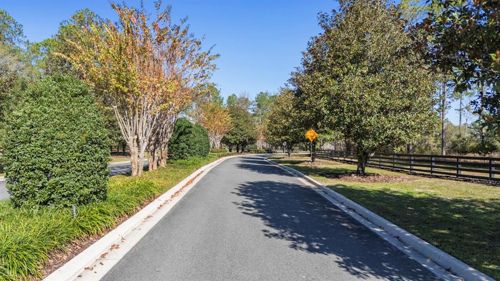 24238 DEEP SPRINGS LOOP, EUSTIS, FL — photo 5 of 9