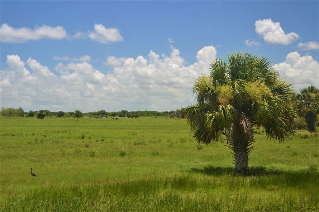 SCHUMANN ROAD, FORT PIERCE, FL — photo 2 of 6