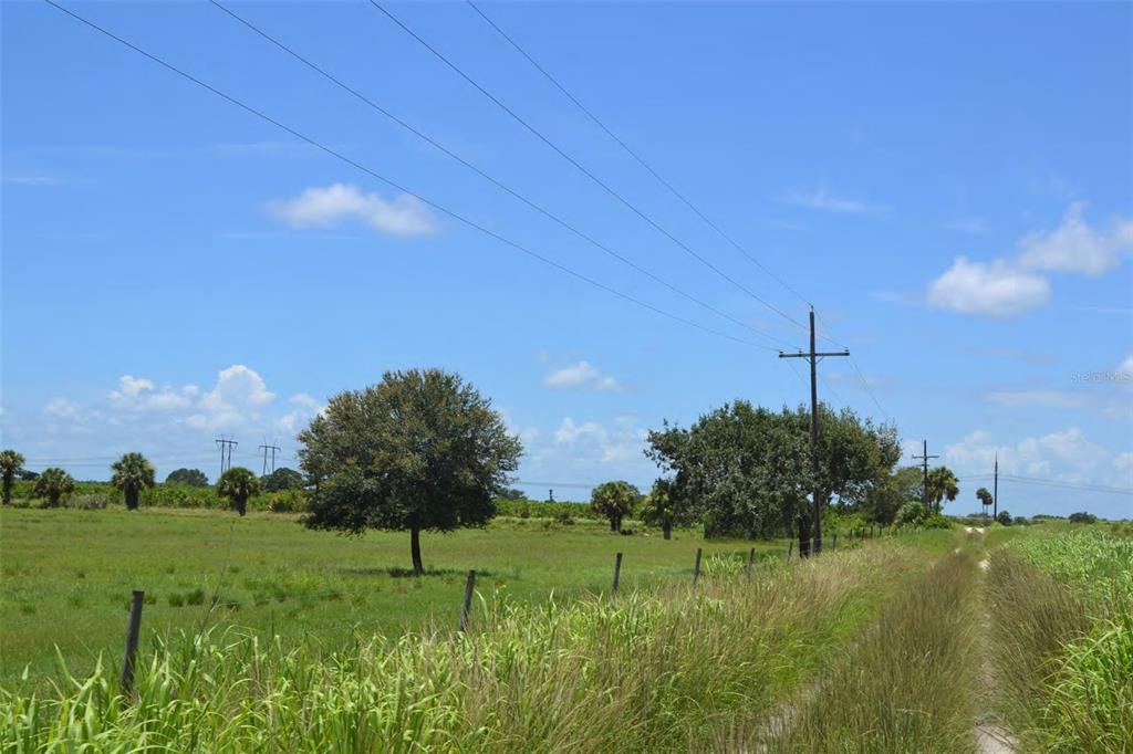 SCHUMANN ROAD, FORT PIERCE, FL — photo 3 of 6