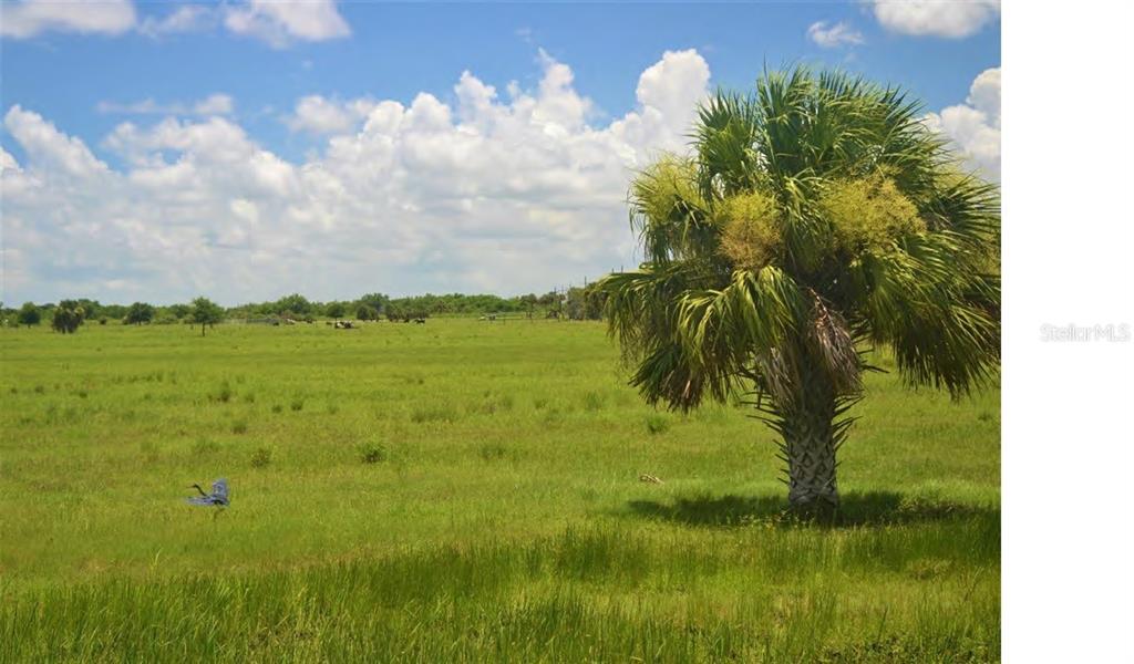 SCHUMANN ROAD, FORT PIERCE, FL — photo 4 of 6