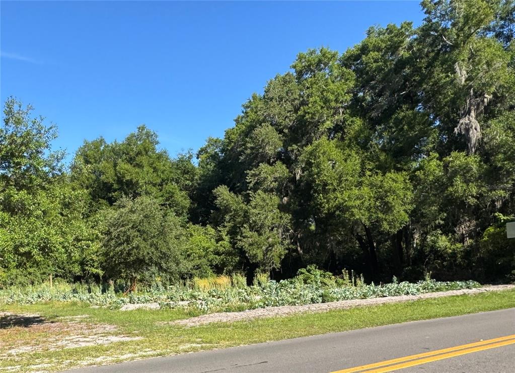 A paved road runs alongside a plot of land with a vegetable garden and trees — 00 COUNTY ROAD 213, WILDWOOD, FL