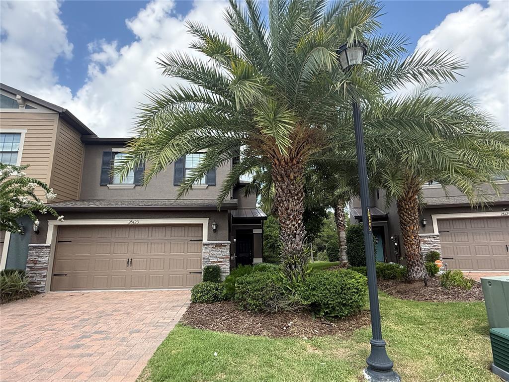 A two-story townhouse exterior features a brown garage, stone accents, and a large palm tree — 28423 PLEASANT BAY LOOP, WESLEY CHAPEL, FL