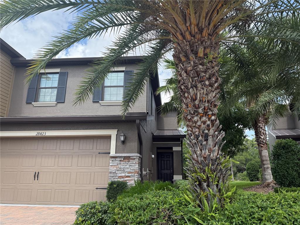 A two-story house with a tan garage, dark shutters, and a large palm tree — 28423 PLEASANT BAY LOOP, WESLEY CHAPEL, FL