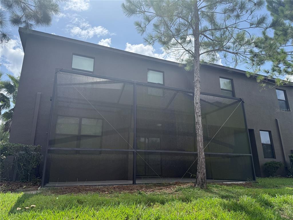 The exterior of a two-story house features a screened-in patio and a large pine tree — 28423 PLEASANT BAY LOOP, WESLEY CHAPEL, FL