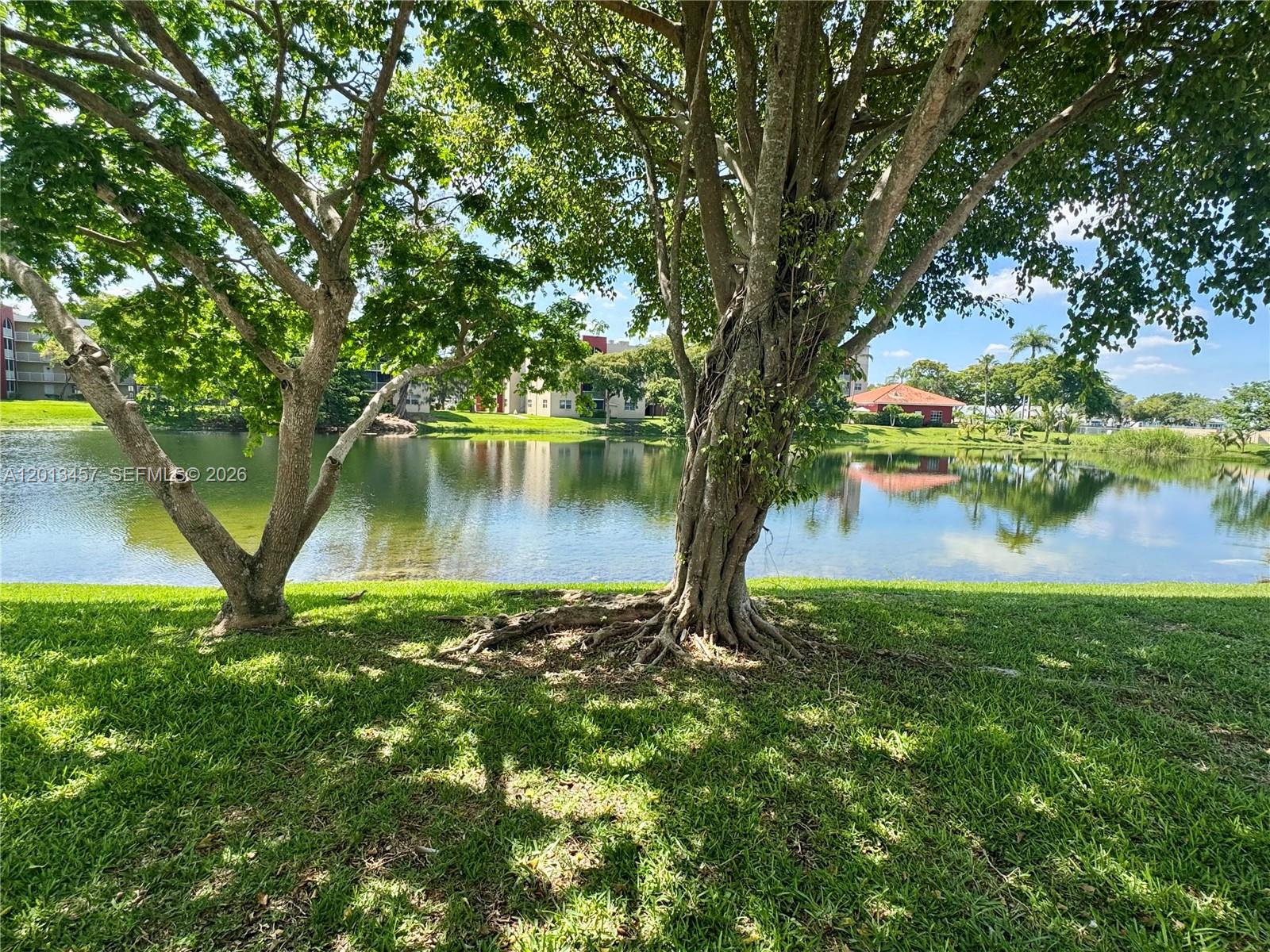 A view of a calm lake framed by two large trees on a grassy lawn — 1481 SW 124th Ct # C, Miami FL 33184, MIAMI, FL