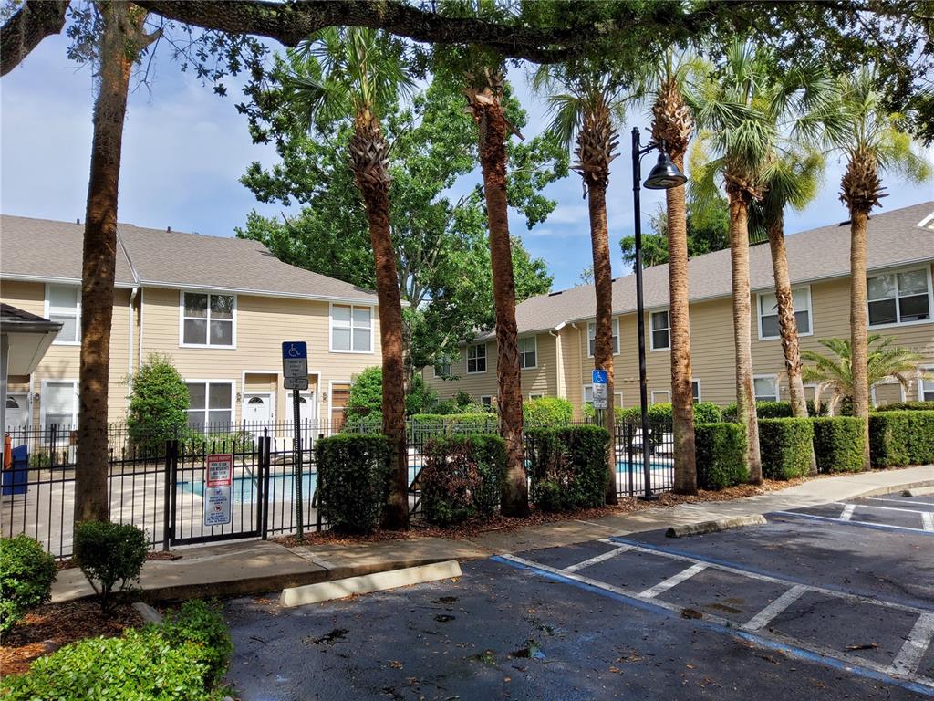A view of a tan apartment complex exterior with a swimming pool and palm trees — 3510 SW 30TH WAY UNIT 156, GAINESVILLE, FL