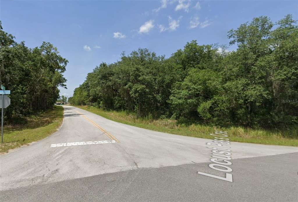 An asphalt road intersection is surrounded by dense green trees under a clear blue sky — lot 19 LOCUST PASS LANE, OCALA, FL