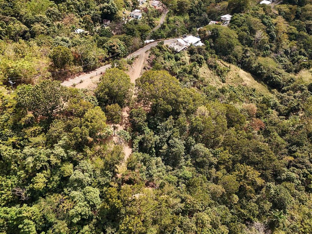 An aerial view shows a sloped, wooded lot next to a paved road and houses — CARR.115 KM. 4.5 INTERIOR, ANASCO, PR