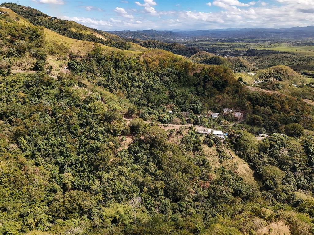 An aerial view shows a hillside covered in dense forest with scattered houses and buildings — CARR.115 KM. 4.5 INTERIOR, ANASCO, PR