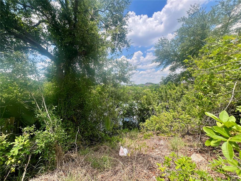 A view of a wooded area with dense trees and foliage overlooking a small pond — 1623 NW 26TH STREET, CAPE CORAL, FL