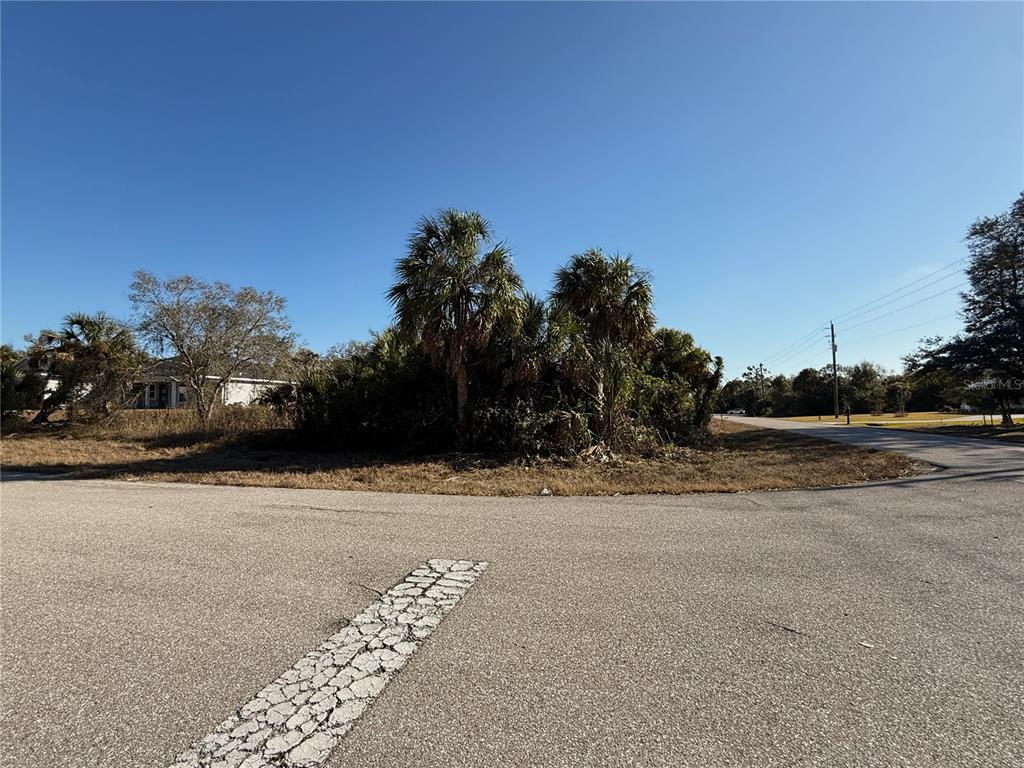 A paved road intersection features a central island with palm trees and native vegetation — 16411 STRAUSS AVENUE, PORT CHARLOTTE, FL