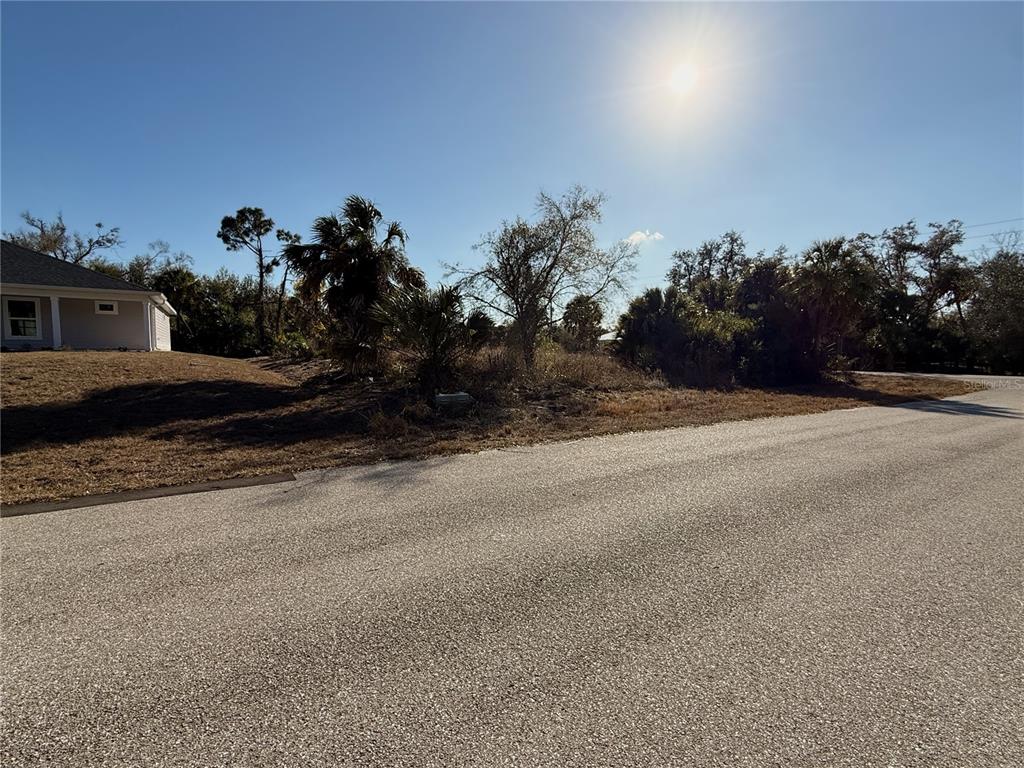 A vacant, overgrown residential lot sits next to a house on a paved street — 16411 STRAUSS AVENUE, PORT CHARLOTTE, FL