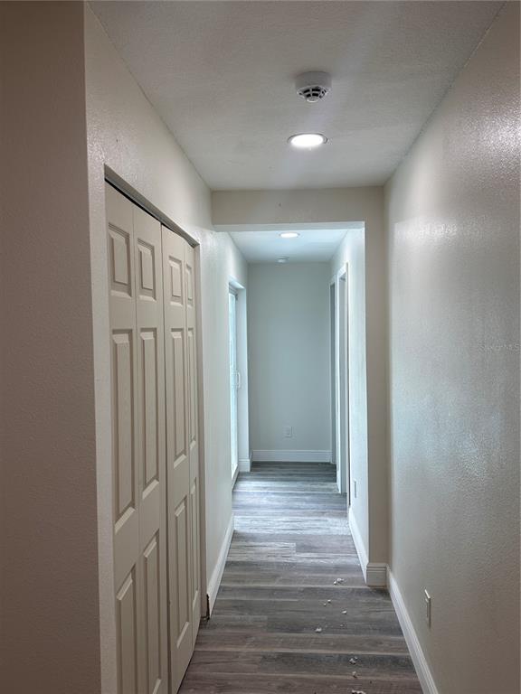 A hallway with light-colored walls, wood-look flooring, and a white bifold closet door — 1716 SPRUCEWOOD LANE, ORLANDO, FL