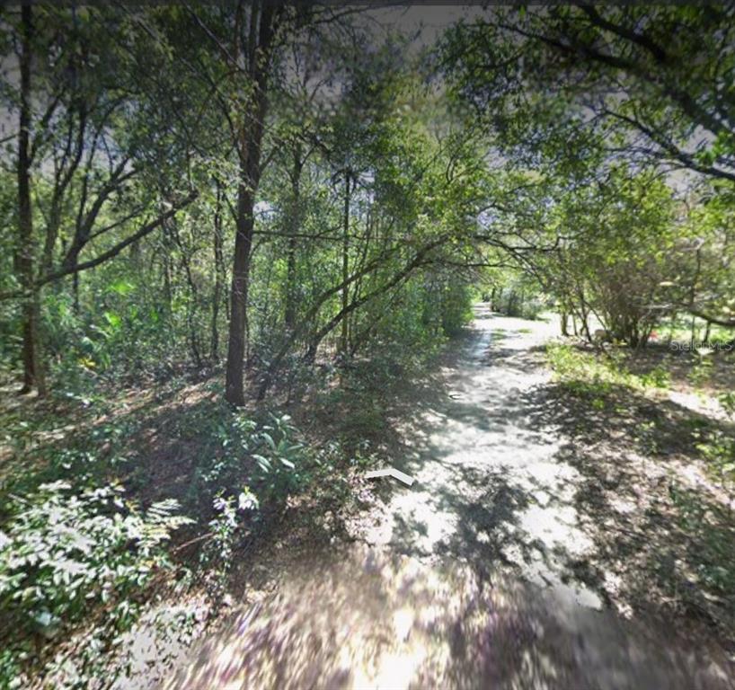 A dirt path winds through a dense, wooded area with mature trees and dappled sunlight — 5430 BASIE STREET, ZEPHYRHILLS, FL