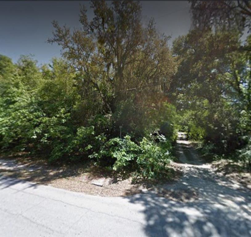 A dirt driveway leads into a dense, wooded lot from a paved road — 5430 BASIE STREET, ZEPHYRHILLS, FL