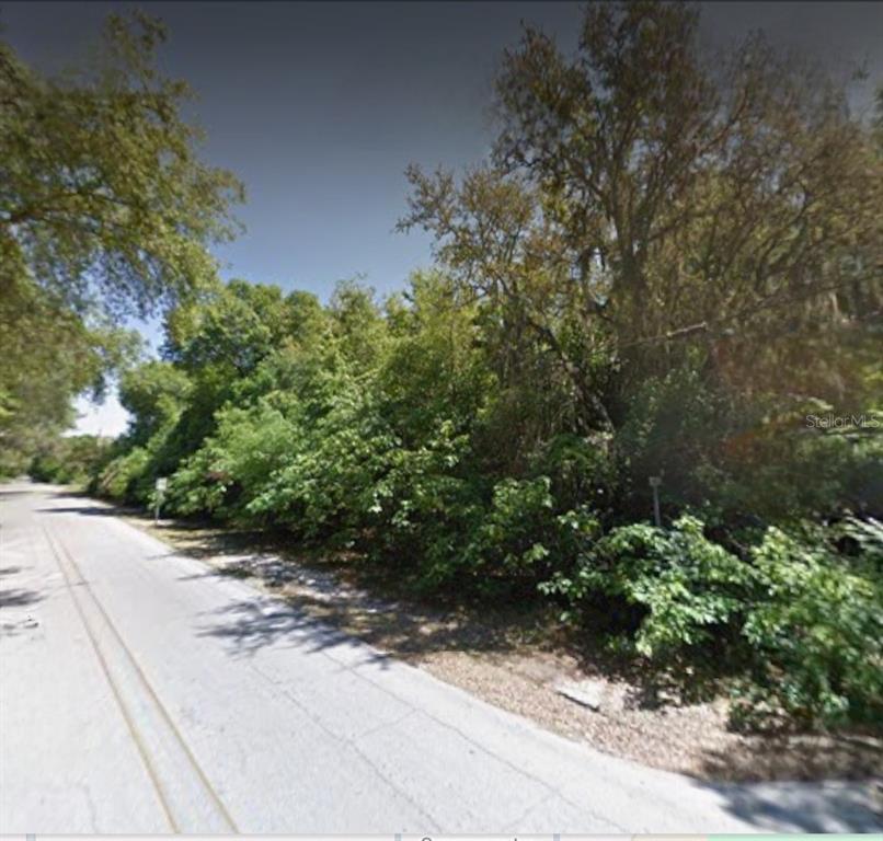 A paved road runs alongside a dense, wooded lot with mature trees and thick vegetation — 5430 BASIE STREET, ZEPHYRHILLS, FL