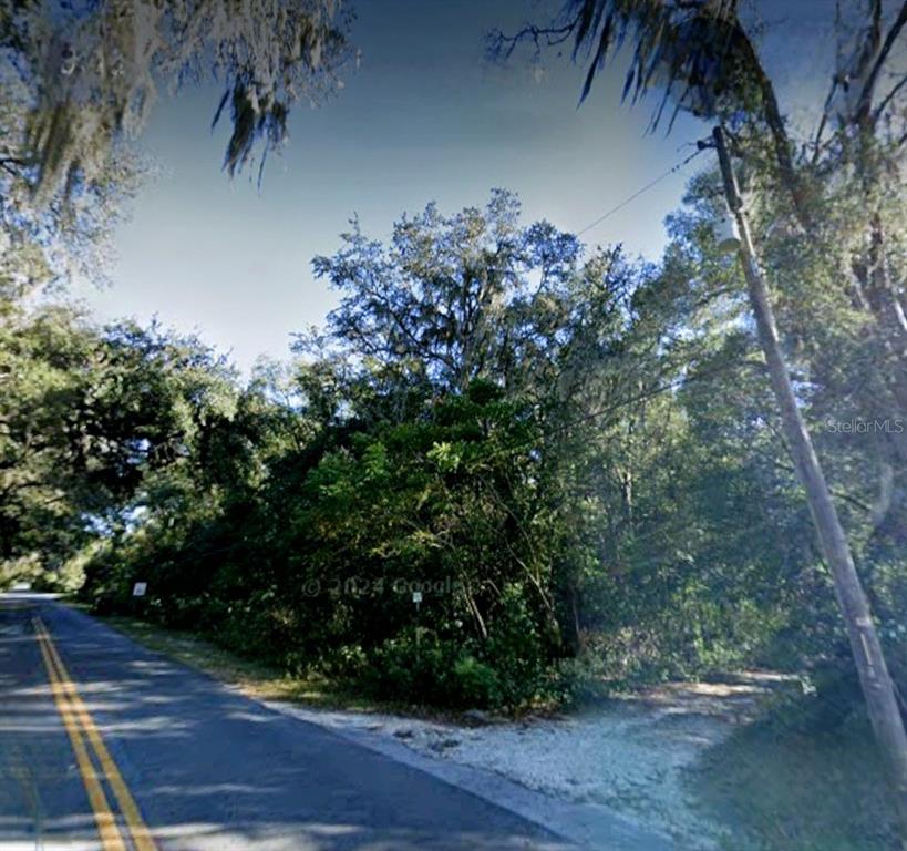 A paved road runs alongside a dense, wooded lot with a utility pole — 5430 BASIE STREET, ZEPHYRHILLS, FL