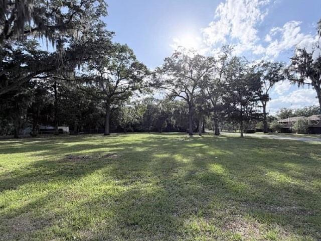 A large, grassy, sunlit lot is surrounded by mature trees with hanging moss — 934 NE 28TH AVENUE, OCALA, FL