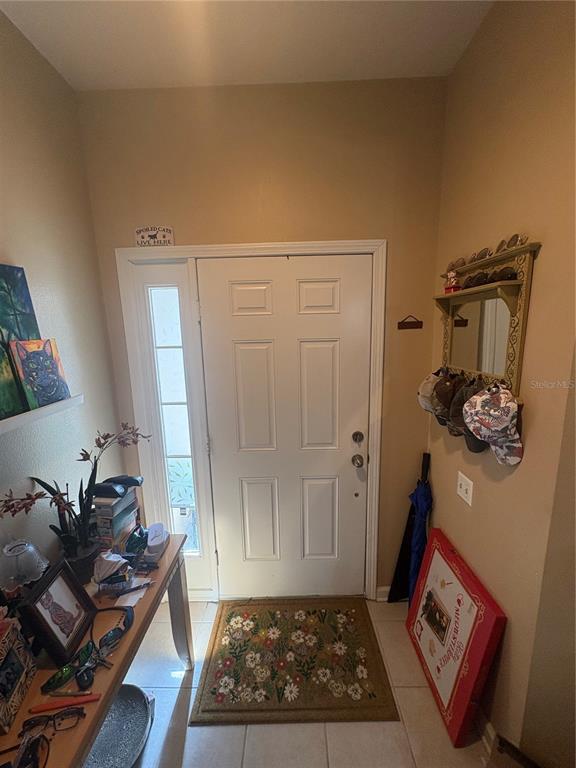 An entryway features a white front door with a sidelight, tile flooring, and wall decor — 4605 BARNSTEAD DRIVE, RIVERVIEW, FL