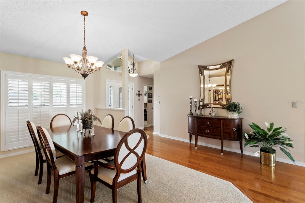 A dining room features a wooden table, chairs, a sideboard, and a large wall mirror — 14607 VILLAGE GLEN CIRCLE, TAMPA, FL