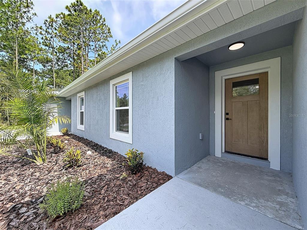 A light blue stucco house exterior features a wooden front door and a concrete walkway — 5987 W OAK PARK BOULEVARD, HOMOSASSA, FL