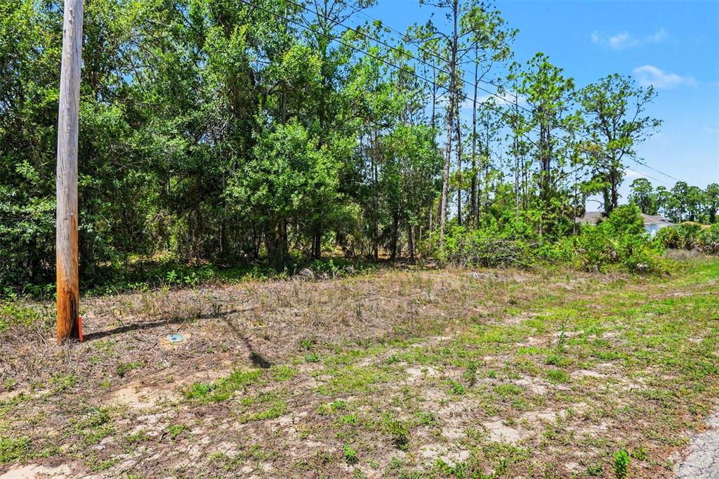 A utility pole stands on a grassy, partially wooded vacant lot under a blue sky — 711 WELLINGTON AVENUE, LEHIGH ACRES, FL