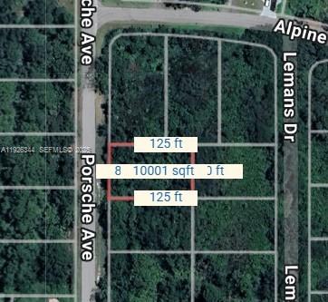 1000 PORCHE, Sebring FL 33872