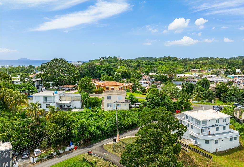 An aerial view shows several multi-story houses nestled among lush green trees near the coast — Km 0.1 CARR 412 INT, RINCON, PR