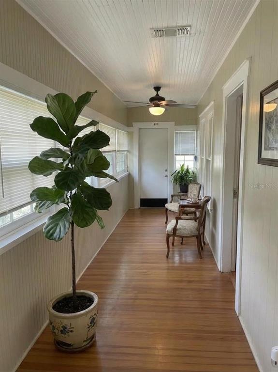 A sunroom features hardwood floors, a large potted fiddle leaf fig, and two wooden chairs — 1601 11 STREET N, ST PETERSBURG, FL