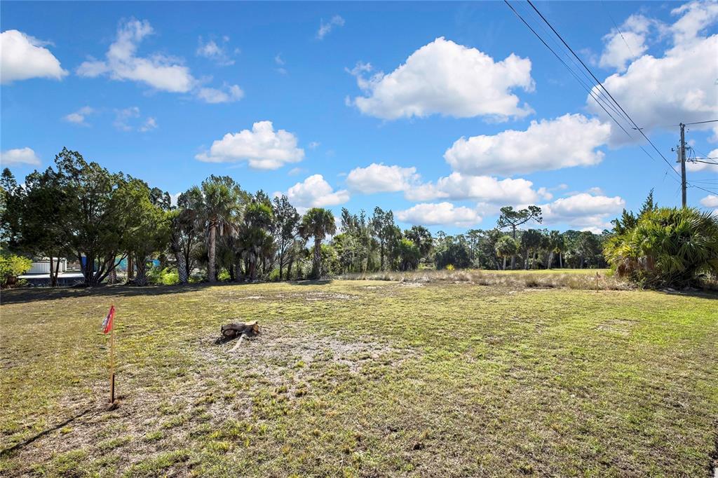 A grassy, vacant lot features scattered trees and a utility pole under a blue sky — 3202 ROSE ARBOR DRIVE, HERNANDO BEACH, FL