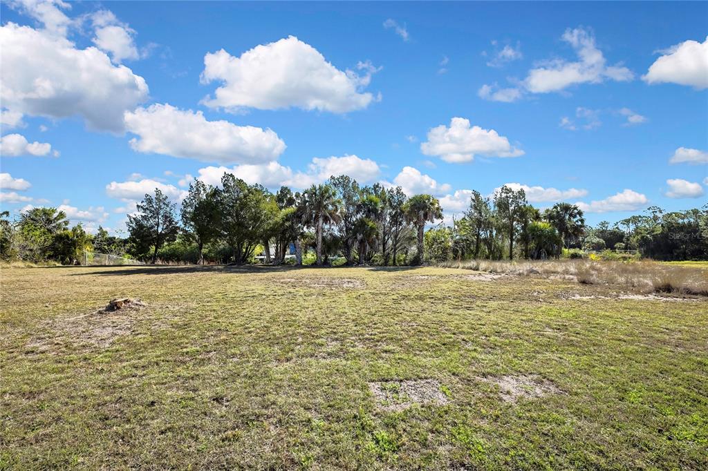 A grassy, vacant lot features scattered trees and palm trees under a bright blue sky — 3202 ROSE ARBOR DRIVE, HERNANDO BEACH, FL