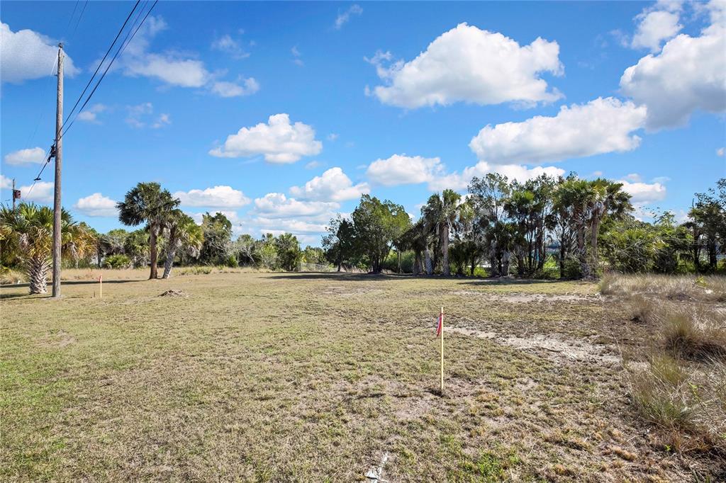 A vacant, grassy lot features scattered palm trees and utility poles under a blue sky — 3202 ROSE ARBOR DRIVE, HERNANDO BEACH, FL
