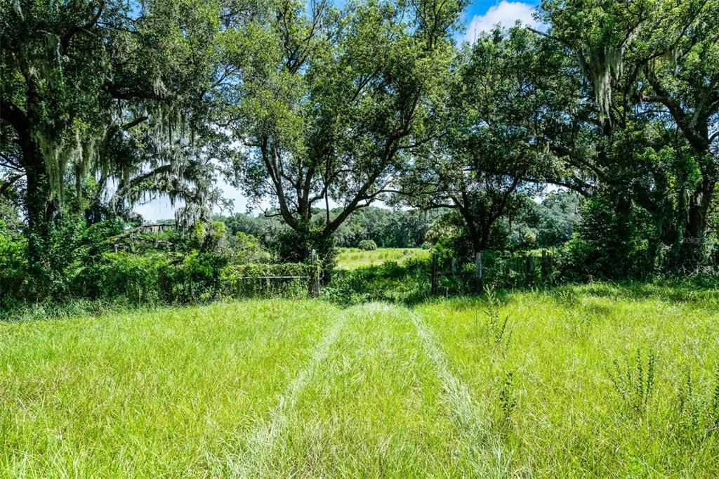 A grassy field leads to a wire fence and a line of mature oak trees — 7466 VIVIAN LANE, ORLANDO, FL