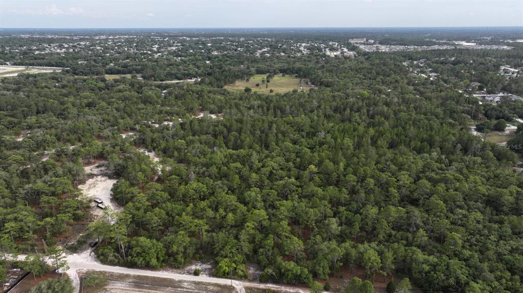 An aerial view shows a large, wooded lot with a dirt path in the foreground — 11488 SEELY LANE, BROOKSVILLE, FL