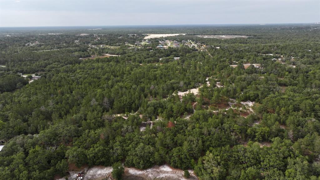 An aerial view shows a large, wooded lot with sandy clearings and surrounding residential development — 11488 SEELY LANE, BROOKSVILLE, FL