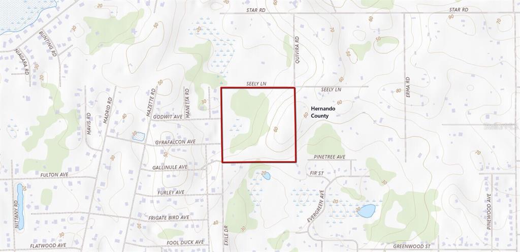 This is a map showing a highlighted rectangular land parcel in Hernando County — 11488 SEELY LANE, BROOKSVILLE, FL