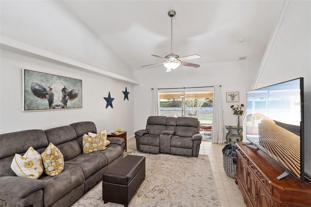 A living room features a vaulted ceiling, gray reclining sofas, and a large television — 8856 COURTYARD LANE, GROVELAND, FL